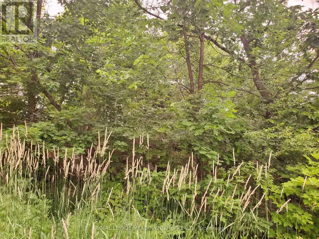 P18185 Lt 11-12 Con 11, Parry Sound Remote Area (East Mills)